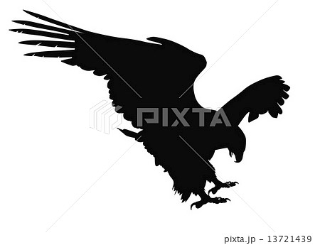 Vector Eagle Huntingのイラスト素材