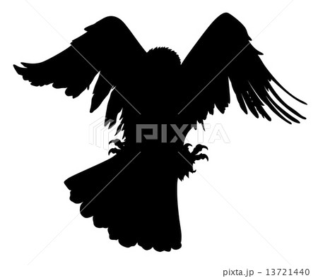 Vector eagle hunting 13721440