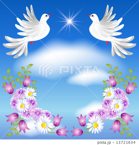 Two white doves in the sky 13721634