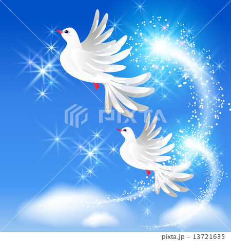 Flying two doves and sparkling salute 13721635