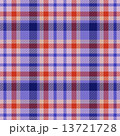textile retro texture, pattern for kilt or hipster shirt 13721728