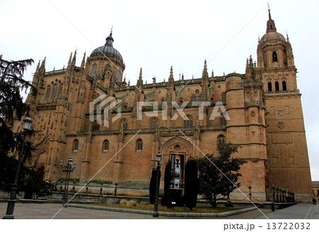 サラマンカ大聖堂 スペイン サラマンカ大聖堂 スペイン 13722032