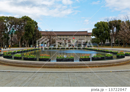 上野公園噴水広場の早咲きのチューリップと東京国立博物館 13722047