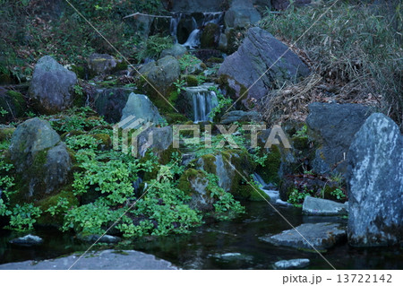 日本庭園の風景 13722142