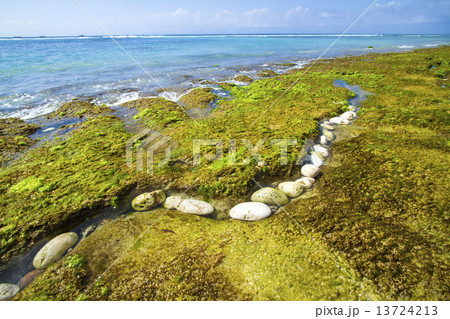 Coastline of Bali island, Indonesia. 13724213