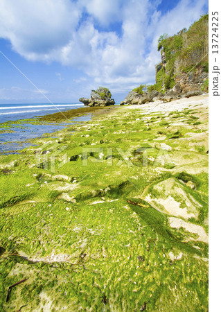 Coastline of Bali island, Indonesia. 13724225