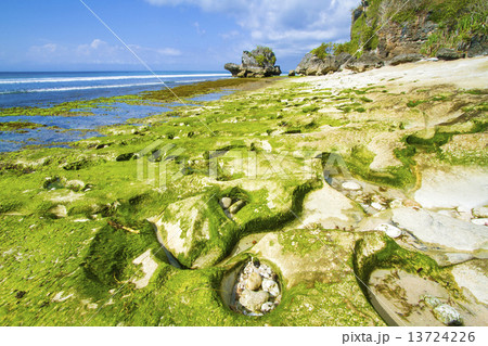Coastline of Bali island, Indonesia. 13724226