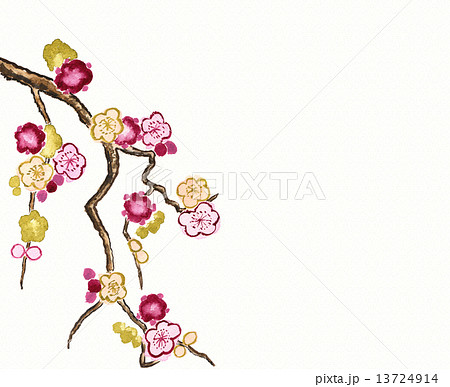 赤色とピンク色と金色の手描き水彩画の梅の花のイラスト素材