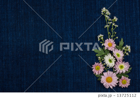 Flowers 13725112