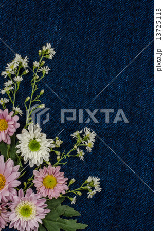 Flowers 13725113