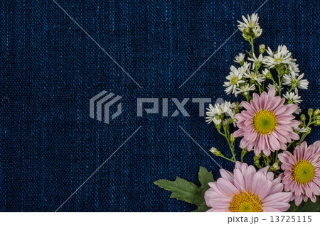 Flowers 13725115