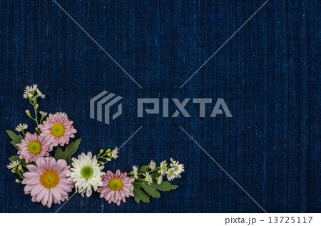 Flowers 13725117