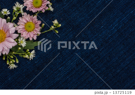 Flowers 13725119