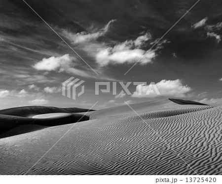 Dunes of Thar Desert, Rajasthan, India Dunes of Thar Desert, Rajasthan, India 13725420