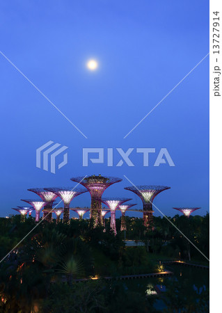Night view of Supertree Grove at Gardens by the Bay 13727914
