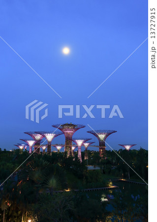 Night view of Supertree Grove at Gardens by the Bay Night view of Supertree Grove at Gardens by the Bay 13727915