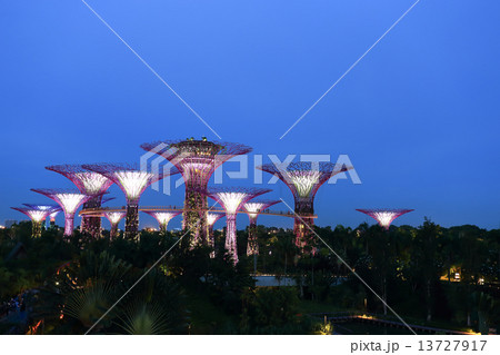 Night view of Supertree Grove at Gardens by the Bay 13727917