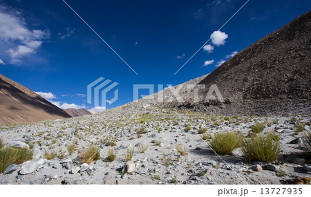 Himalayan landscape 13727935