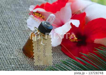 Hibiscus essential oil 13728748