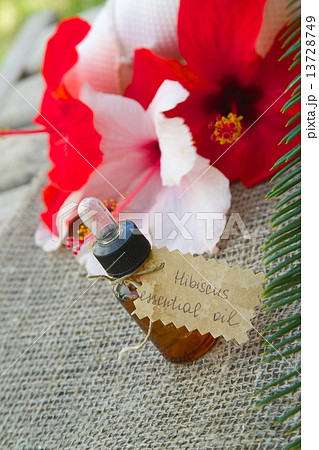Hibiscus essential oil 13728749