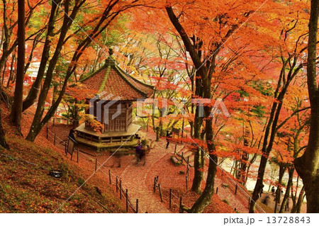 紅葉の香嵐渓 紅葉の香嵐渓 13728843