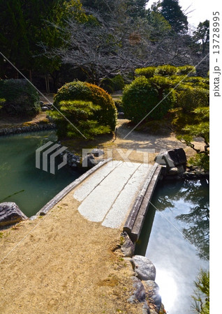 湯築城の内堀(西側)（道後公園／愛媛県松山市道後町） 13728995