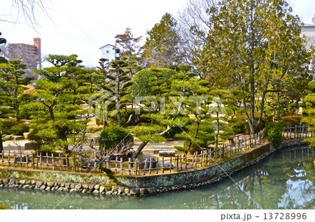 湯築城の内堀(西側)（道後公園／愛媛県松山市道後町） 13728996