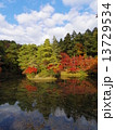 Autumn leaves reflected in Yokuryuchi Pond (Shugakuin Imperial Villa) 13729534