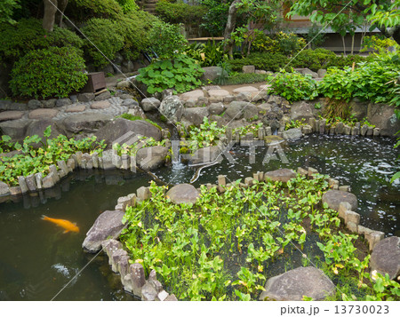 神奈川　鎌倉　長谷寺の日本庭園 13730023