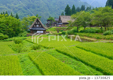 富山 五箇山 夏の相倉合掌造りの集落 富山 五箇山 夏の相倉合掌造りの集落 13730825