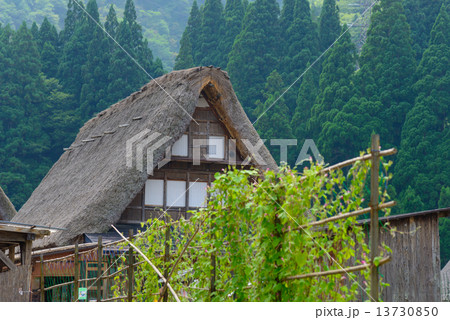 富山　五箇山　夏の相倉合掌造りの集落 13730850