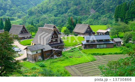 富山　五箇山　夏の菅沼合掌造りの集落 13730866