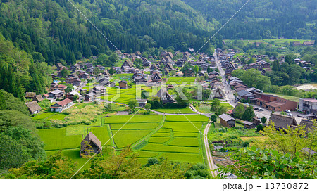 岐阜　白川郷　夏の荻町合掌造りの集落 13730872
