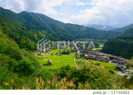 岐阜　白川郷　夏の荻町合掌造りの集落 13730882
