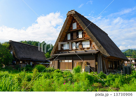 岐阜　白川郷　夏の荻町合掌造りの集落 13730906
