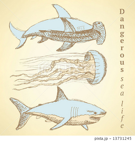 Sketch sea creatures in vintage style 13731245