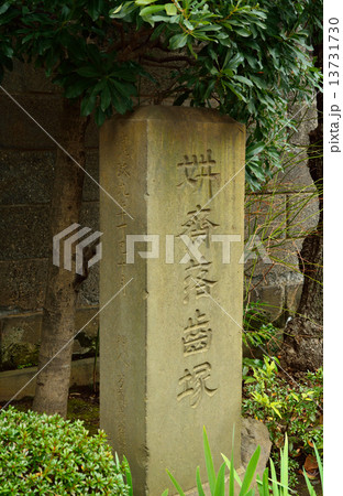 谷根千散歩・真言宗養福寺 石碑 谷根千散歩・真言宗養福寺 石碑 13731730