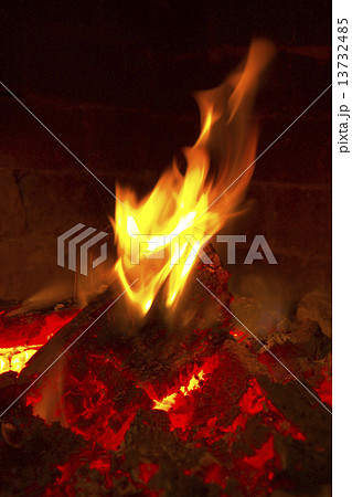 Fire and tree Fire and tree 13732485