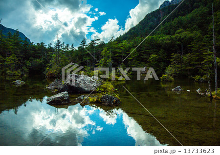 夏の明神池二の池 13733623