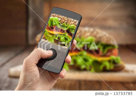 Hand taking photo of sandwich with smatphone 13733785