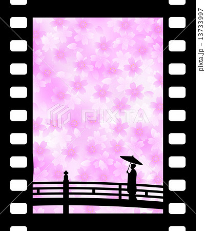 桜と舞妓　SAKURA and MAIKO(Spring of Japan) 13733997