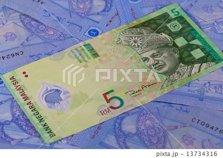 Different Ringgit banknotes from Malaysia 13734316
