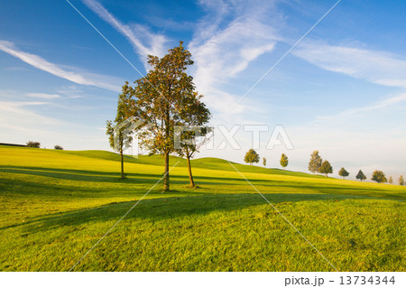 Misty morning on a empty golf course 13734344