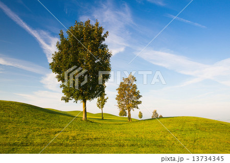 Misty morning on a empty golf course 13734345