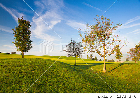 Misty morning on a empty golf course 13734346