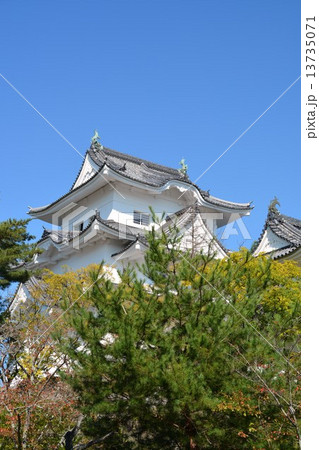 初秋の伊賀上野城 13735071