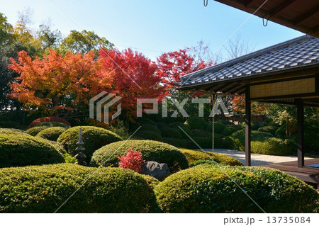 秋の丈山苑 詩泉閣 秋の丈山苑 詩泉閣 13735084