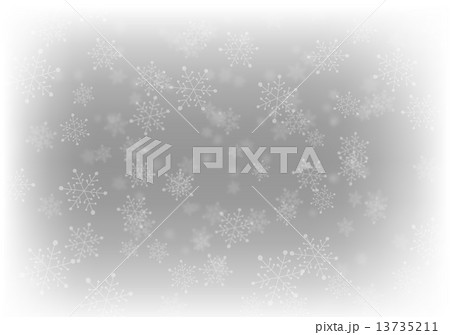 雪の結晶 13735211