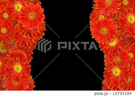 Flowers Flowers 13735294