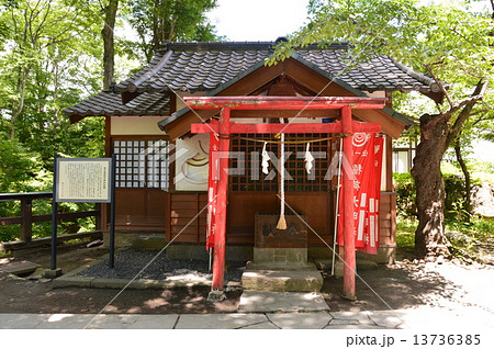 懐古園 稲荷神社(小諸城址公園/長野県小諸市丁) 懐古園 稲荷神社(小諸城址公園/長野県小諸市丁) 13736385